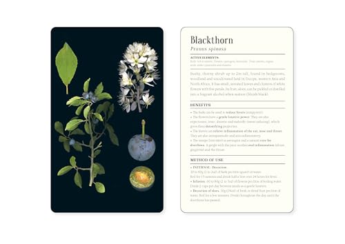 FrancOis Couplan - 50 Plants That Heal : Discover Medicinal Plants - a image 3