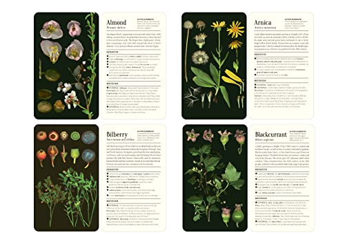 FrancOis Couplan - 50 Plants That Heal : Discover Medicinal Plants - a image 4
