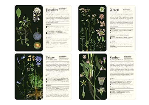 FrancOis Couplan - 50 Plants That Heal : Discover Medicinal Plants - a image 5