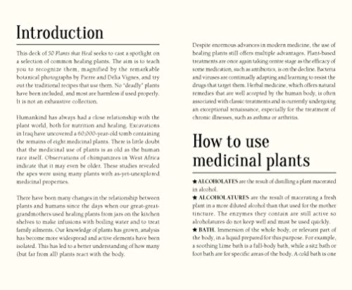 FrancOis Couplan - 50 Plants That Heal : Discover Medicinal Plants - a image 7