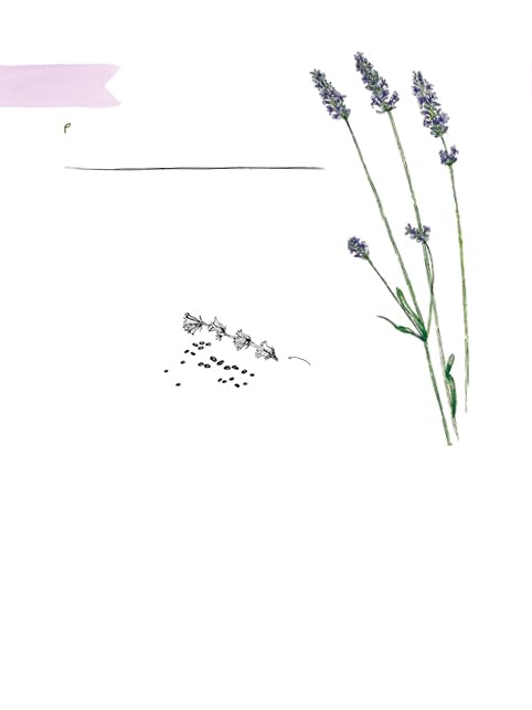 Clare Gogerty - Magic of Seeds : The nature-lover's guide to growi image 3