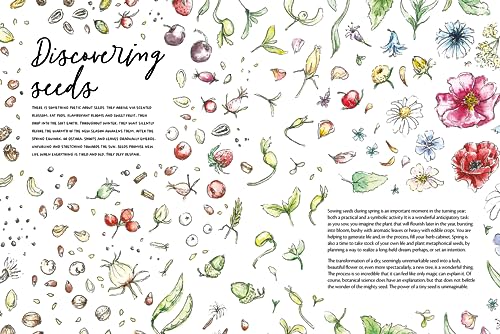 Clare Gogerty - Magic of Seeds : The nature-lover's guide to growi image 5