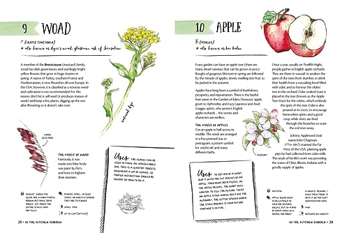 Clare Gogerty - Magic of Seeds : The nature-lover's guide to growi image 7