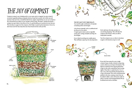 Clare Gogerty - Magic of Seeds : The nature-lover's guide to growi image 8