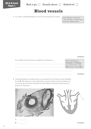 Ann Skinner - Revise Salters Nuffield AS/A level Biology Revision Work image 4