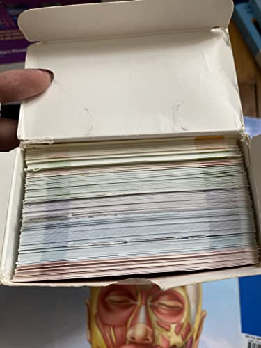Elke Lutjen-Drecoll - Rohen's Photographic Anatomy Flash Cards - N image 2