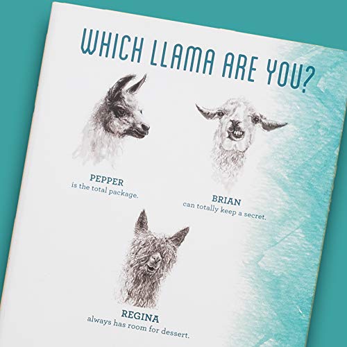 Kristin Llamas - Como te Llamas? : Everyday Llamas You Might Know - Ha image 3