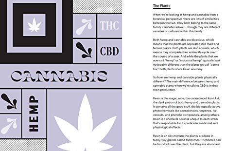 Merry Jane - 's The CBD Solution: Wellness : How Cannabis, CBD, an image 5