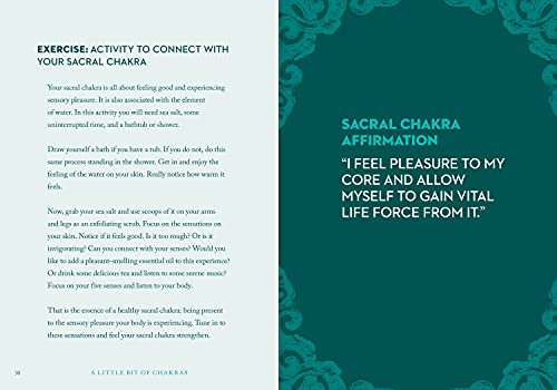 Chad Mercree - A Little Bit of Chakras : An Introduction to Energy Hea image 5
