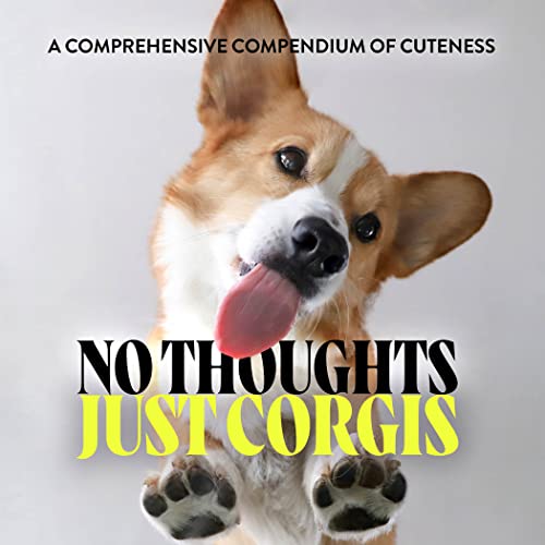 Union Square & Co. - No Thoughts Just Corgis : A Comprehensive Compend image 1