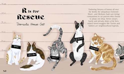 Harper by Design - Catphabet : A whimsical celebration of our favourit image 3