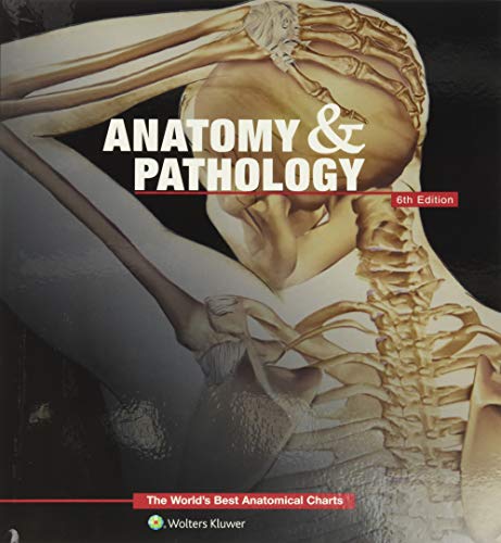 Anatomical Chart Com - Anatomy & Pathology:The World's Best Anatom image 1