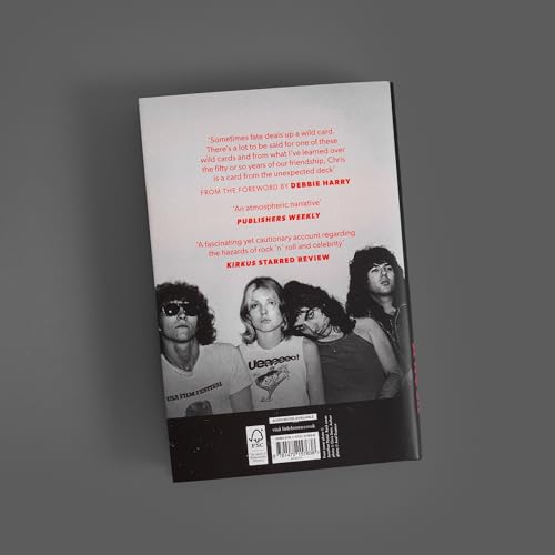 Chris Stein - Under A Rock - Hardback image 4