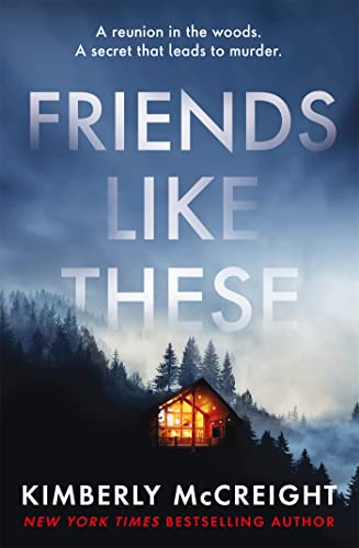 Kimberly McCreight - Friends Like These - Paperback image 1