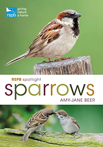 Amy-Jane Beer - RSPB Spotlight Sparrows - Paperback image 1