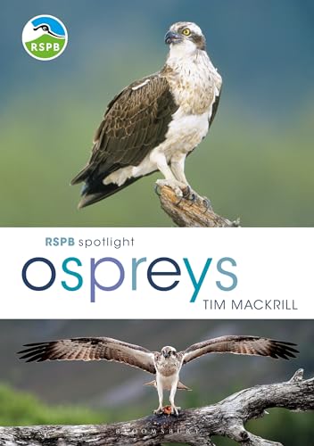 Tim Mackrill - RSPB Spotlight Ospreys - Paperback image 1
