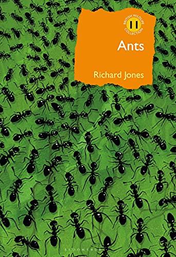 Richard Jones - Ants : The ultimate social insects - Hardback image 1