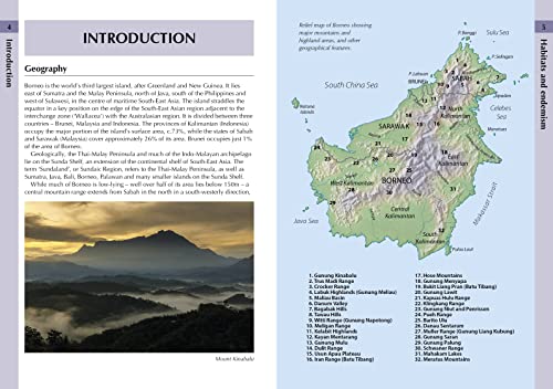 Ms Susan Myers - Birds of Borneo - Paperback image 3