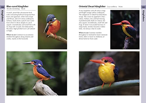 Ms Susan Myers - Birds of Borneo - Paperback image 6