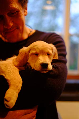 Monty Don - Nigel : my family and other dogs - Paperback image 4