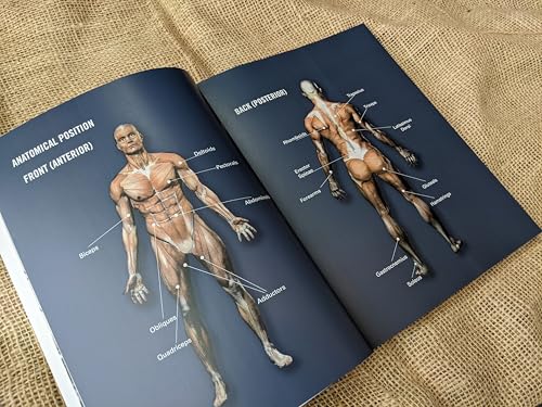 L.J. Flanders - Cell Workout - Paperback image 3