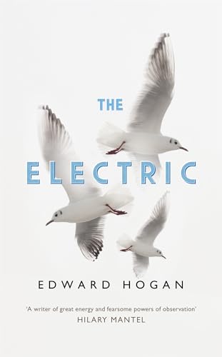 Edward Hogan - Electric - Hardback image 1