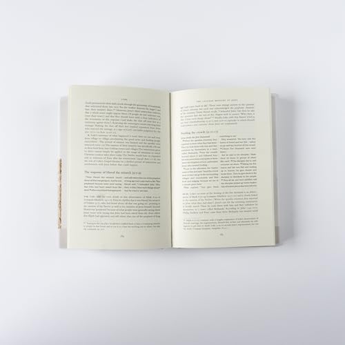 David Peterson - Hodder Bible Commentary: Luke - Hardback image 3