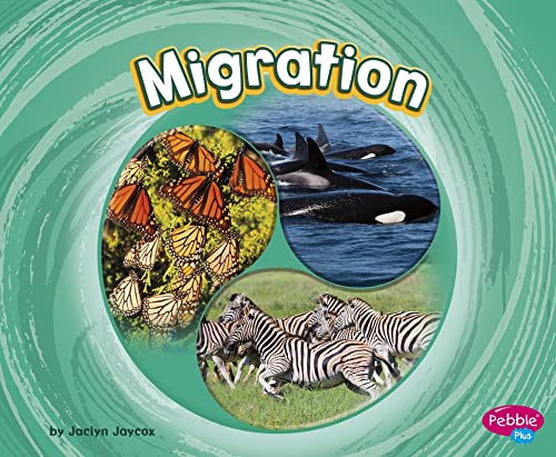 Jaclyn Jaycox - Migration - Paperback image 1