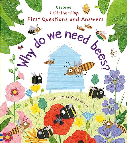Katie Daynes - Why Do We Need Bees? - Hardback image 1