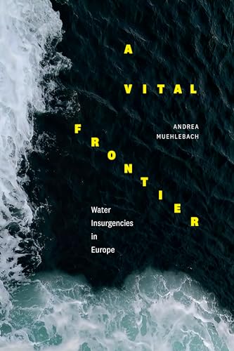 Andrea Muehlebach - A Vital Frontier : Water Insurgencies in Europe - image 1