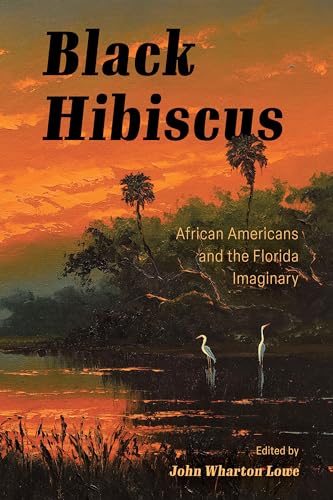 Black Hibiscus : African Americans and the Florida Imaginary - Paperba image 1