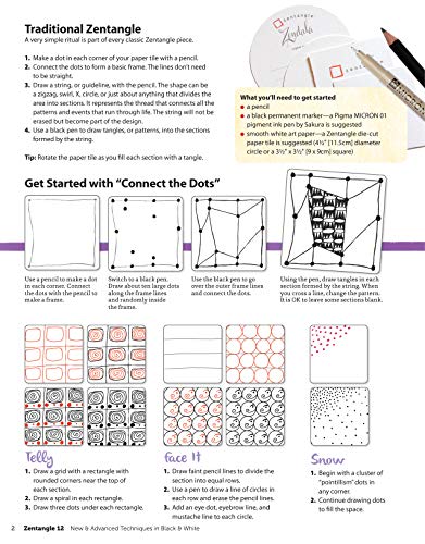 Cindy Shepard - Zentangle 12, Workbook Edition - Paperback image 2