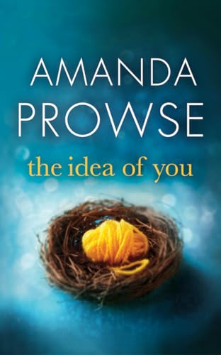 Amanda Prowse - Idea of You - Paperback