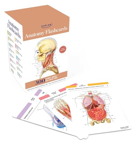 Joanne Tillotson - Anatomy Flashcards: 300 Flashcards with Anatomicall image 1
