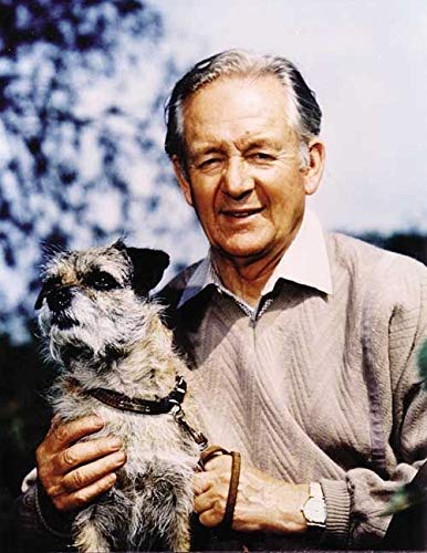 James Herriot - If Only They Could Talk - Hardback image 2