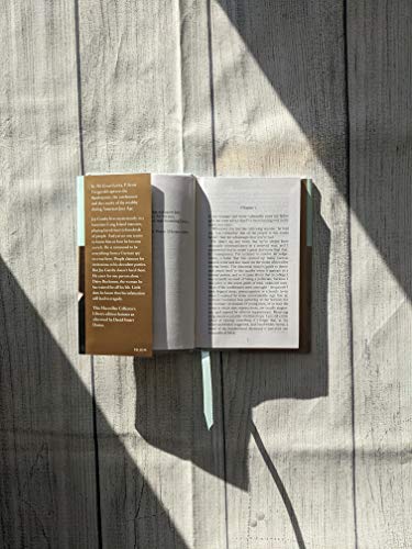 F.Scott Fitzgerald - Great Gatsby - Hardback image 5