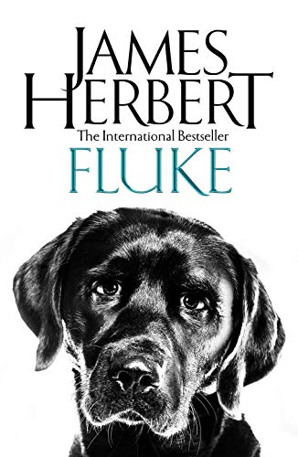 James Herbert - Fluke - Paperback image 1