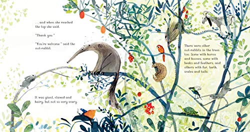 Jessica Meserve - Beyond the Burrow - Hardback image 3