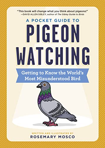 Rosemary Mosco - A Pocket Guide to Pigeon Watching : Getting to Know t image 1