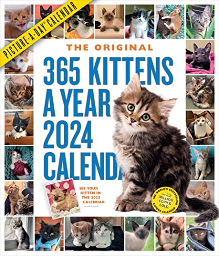 365 Kittens-A-Year Picture-A-Day Wall Calendar 2024 : Absolutely Spill image 1