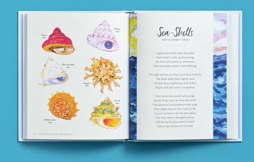 Jessie King Regunber - Searching for Seashells : An Artist's Guide image 4