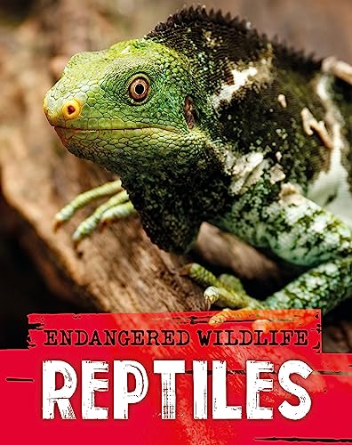 Anita Ganeri - Endangered Wildlife: Rescuing Reptiles - Paperback image 1