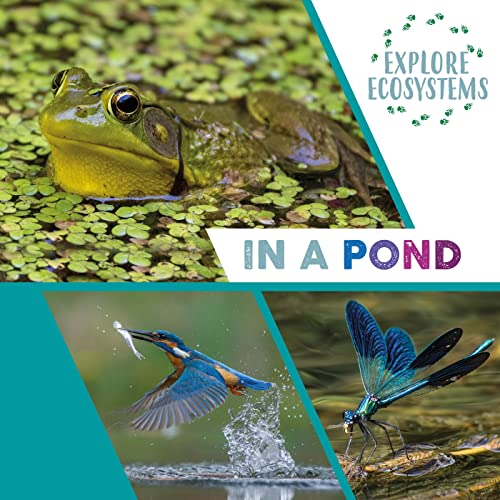 Sarah Ridley - Explore Ecosystems: In a Pond - Hardback image 1
