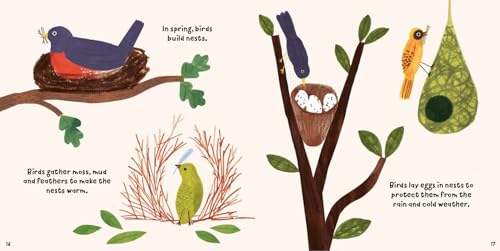 Susie Williams - Forest Fun: Birds in the Trees - Hardback image 2