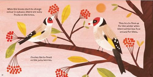 Susie Williams - Forest Fun: Birds in the Trees - Hardback image 3