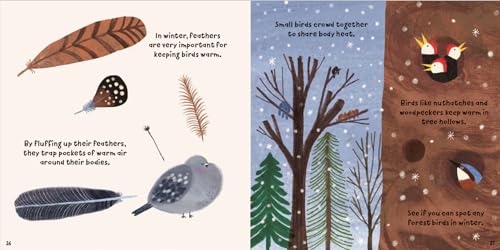 Susie Williams - Forest Fun: Birds in the Trees - Hardback image 4