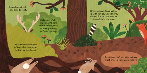 Susie Williams - Forest Fun: Animals in the Undergrowth - Hardback image 4