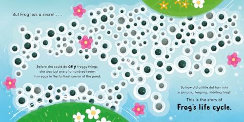 Flora Lily - Life Cycle Stories: Frog - Hardback image 3