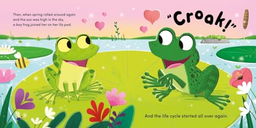 Flora Lily - Life Cycle Stories: Frog - Hardback image 5
