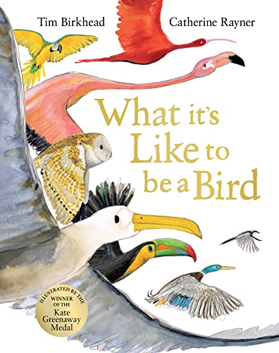 Tim Birkhead - What it's Like to be a Bird - Hardback image 1